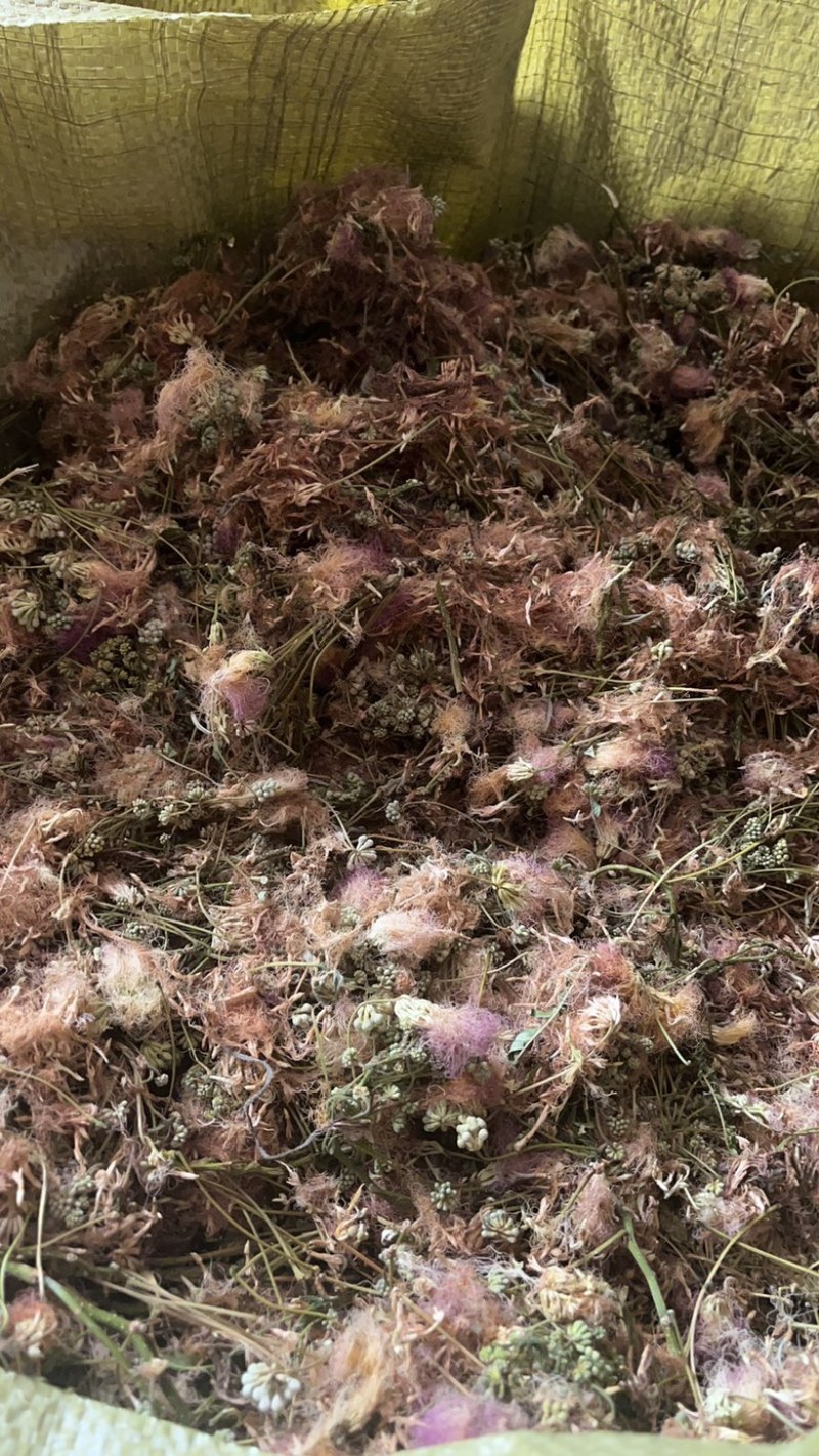 合欢花便宜卖了个物美价廉，干净整洁手选杂志