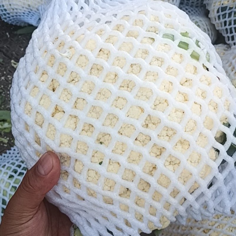 精品散花大量上市，代发全国，诚信经营，支持视频看货