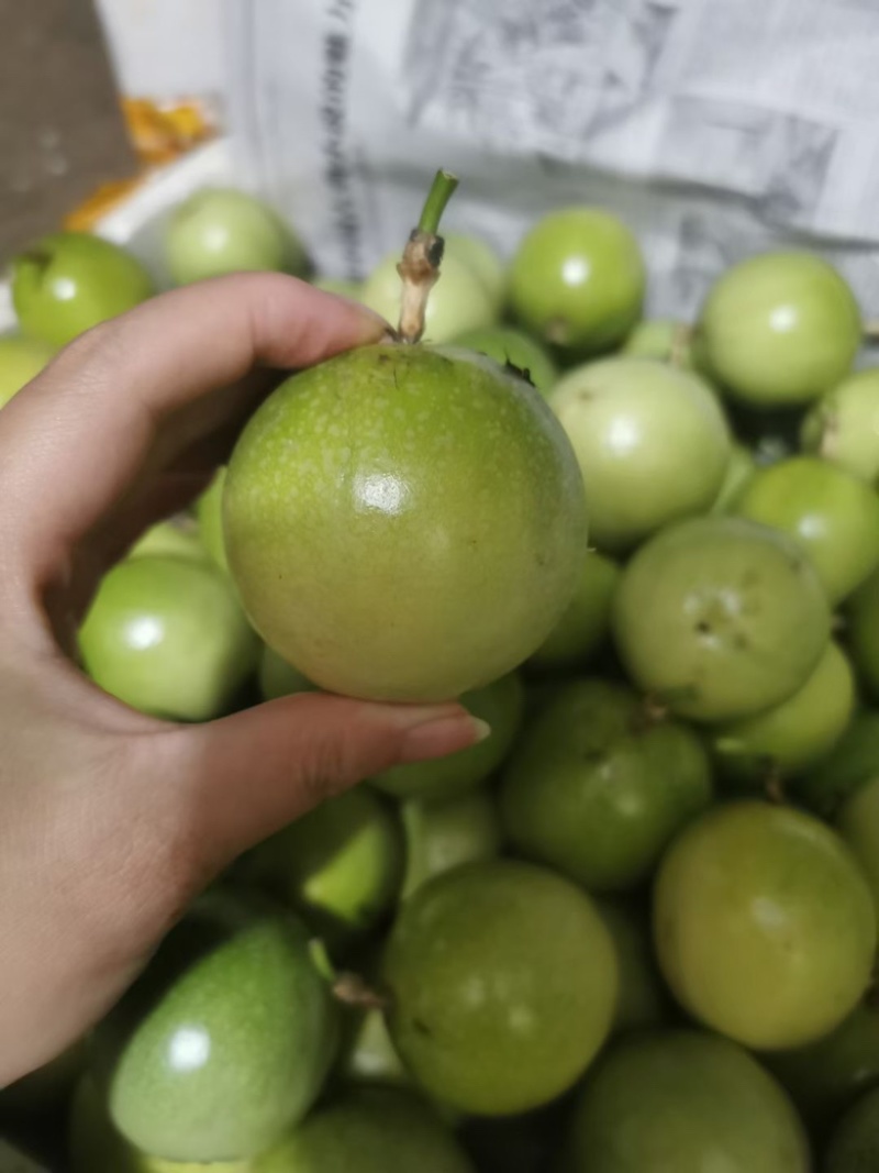 海南钦蜜九号黄金百香果