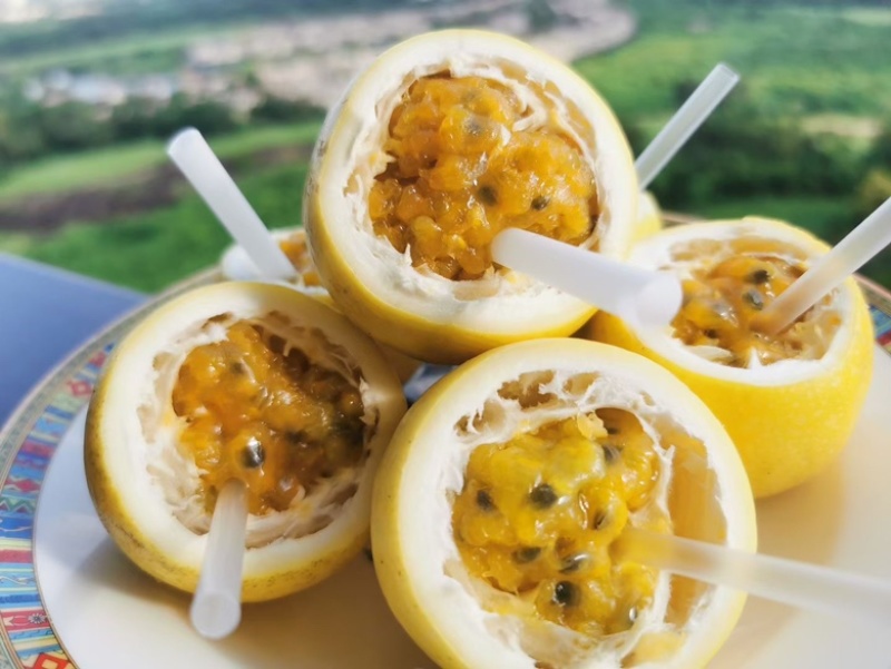 海南钦蜜九号黄金百香果