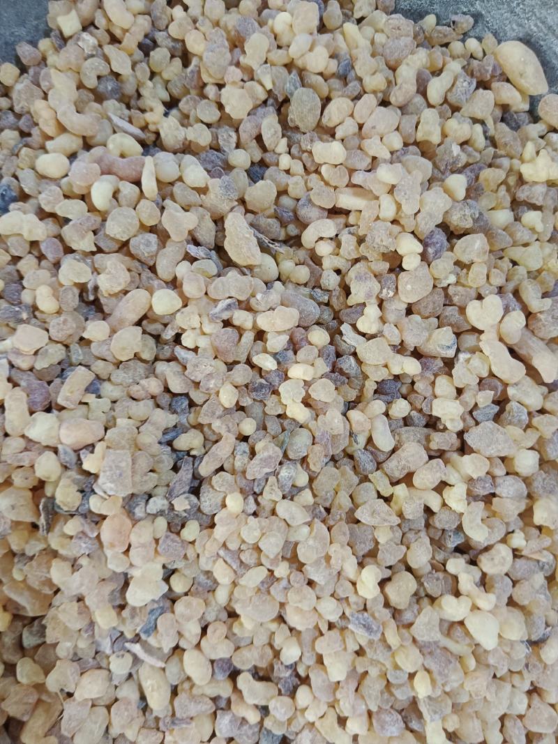 乳香，道地药材，产地一手货源，实拍现货24小时内发货