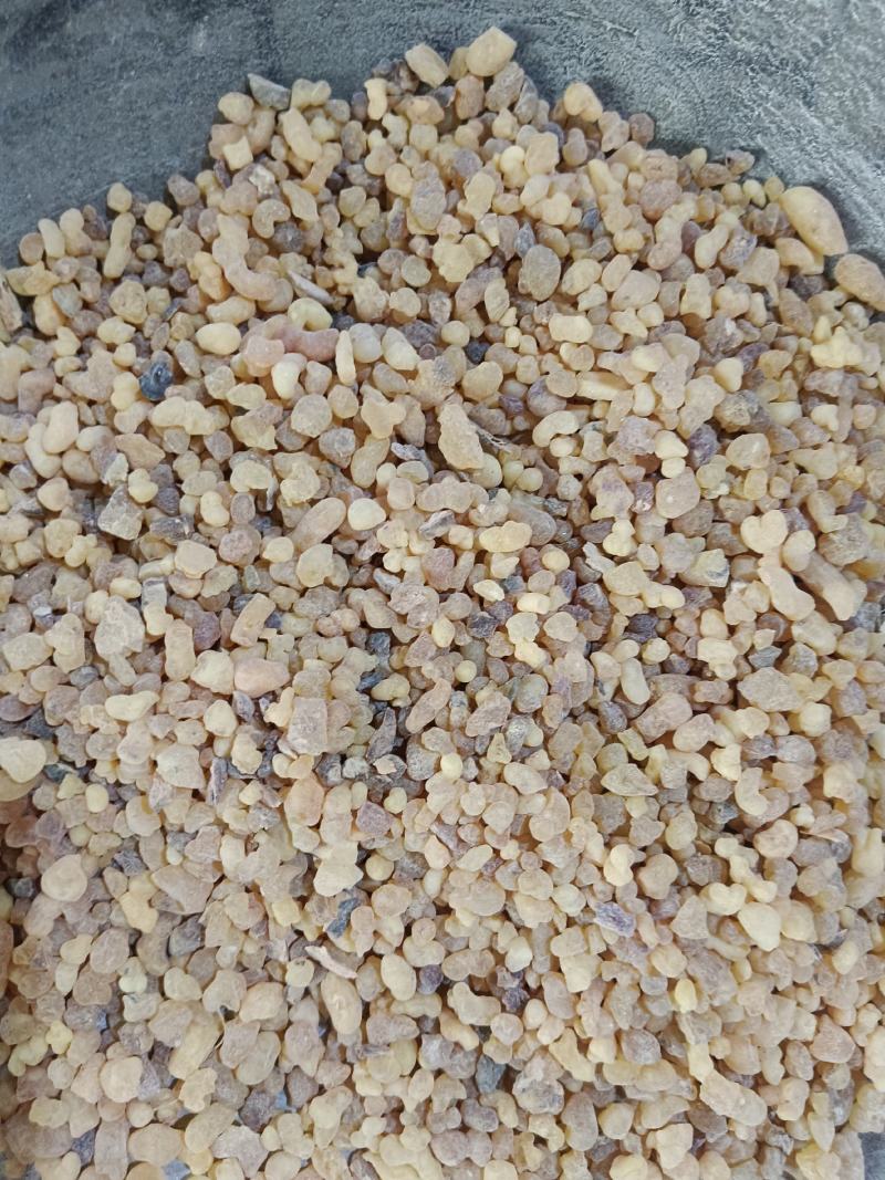 乳香，道地药材，产地一手货源，实拍现货24小时内发货