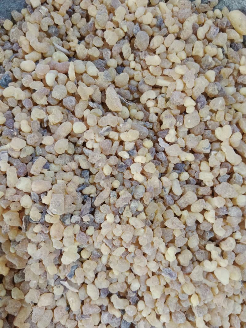 乳香，道地药材，产地一手货源，实拍现货24小时内发货