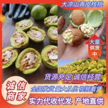 青皮核桃鲜核桃产地一手货源量大从优发全国商超联系
