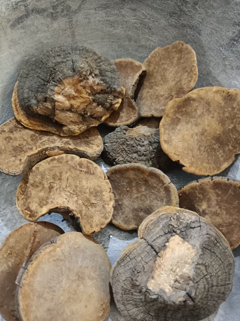 槐耳，槐鹅，槐菌产地直销，实拍现货24小时内发货