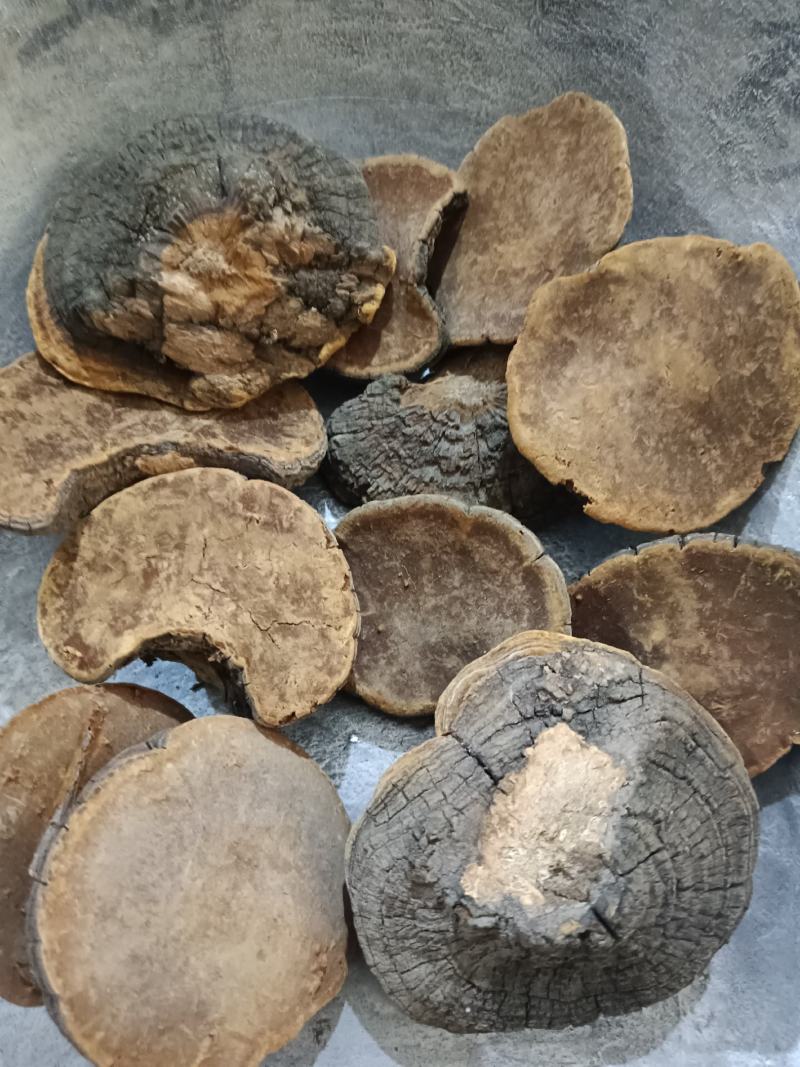 槐耳，槐鹅，槐菌产地直销，实拍现货24小时内发货
