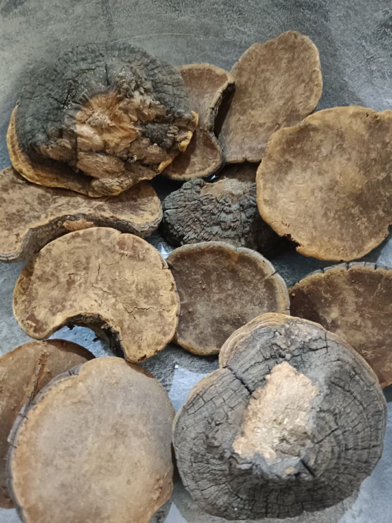 槐耳，槐鹅，槐菌产地直销，实拍现货24小时内发货