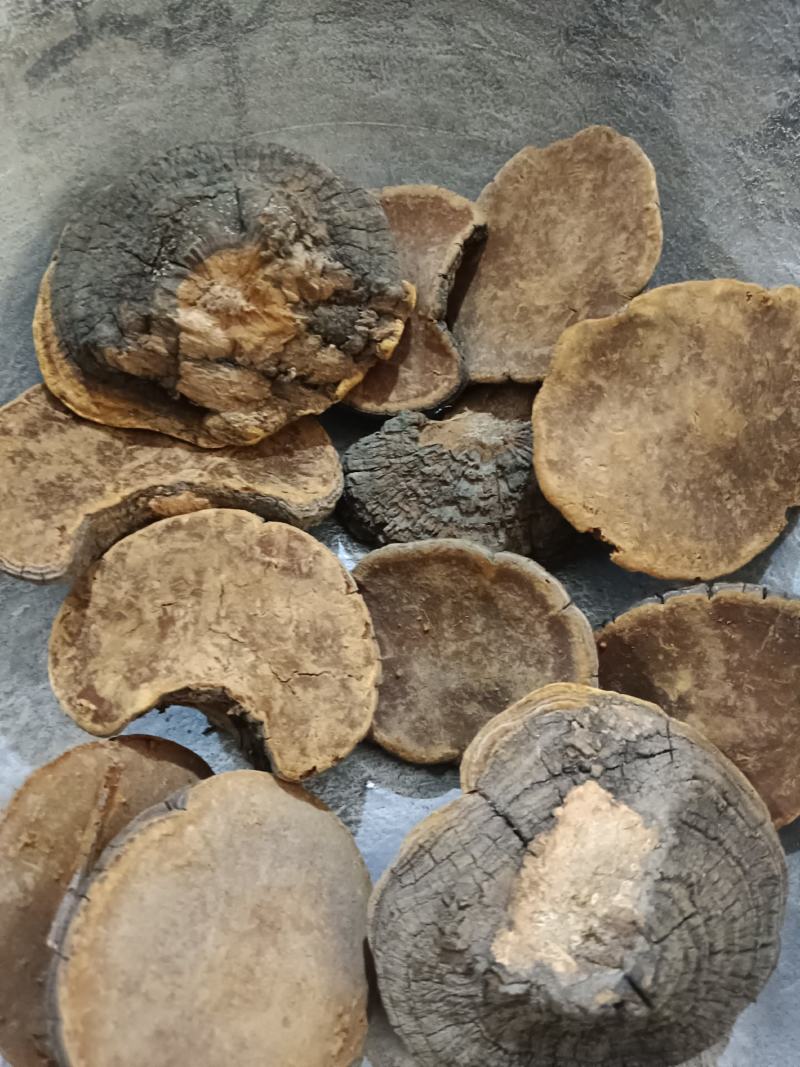 槐耳，槐鹅，槐菌产地直销，实拍现货24小时内发货