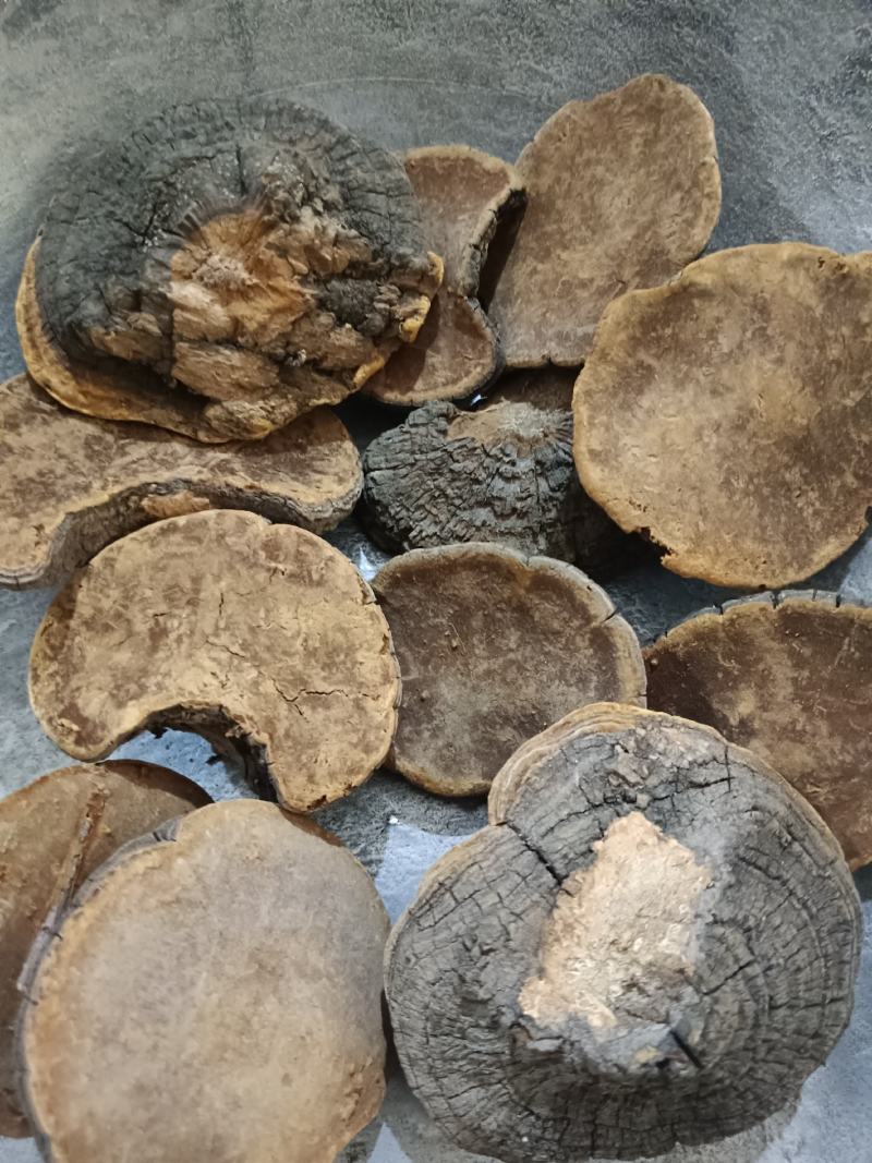 槐耳，槐鹅，槐菌产地直销，实拍现货24小时内发货