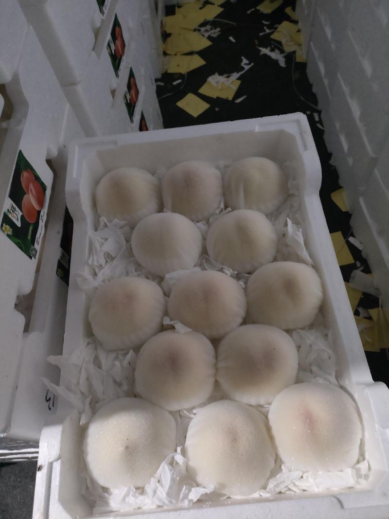 水蜜桃，全国发货，鲜甜可口，可以撕皮的水蜜桃，甜度一级