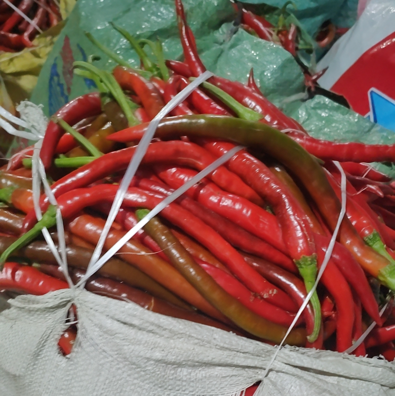 辣椒红线椒产地货源品质优良量大从优欢迎咨询