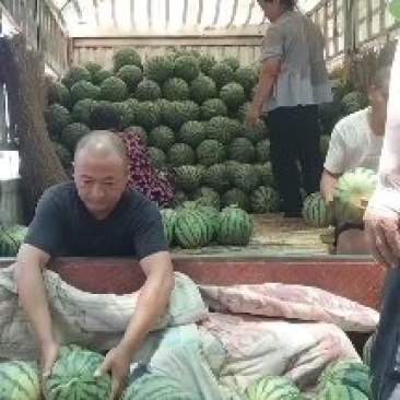 【实力】开封精品美都西瓜基地直发质量保证新鲜采摘