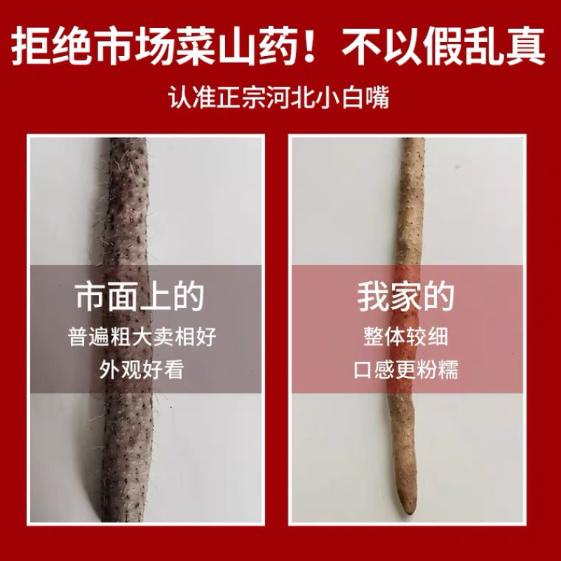 河北原产地小白嘴山药网袋山药现挖新鲜山药口感甜