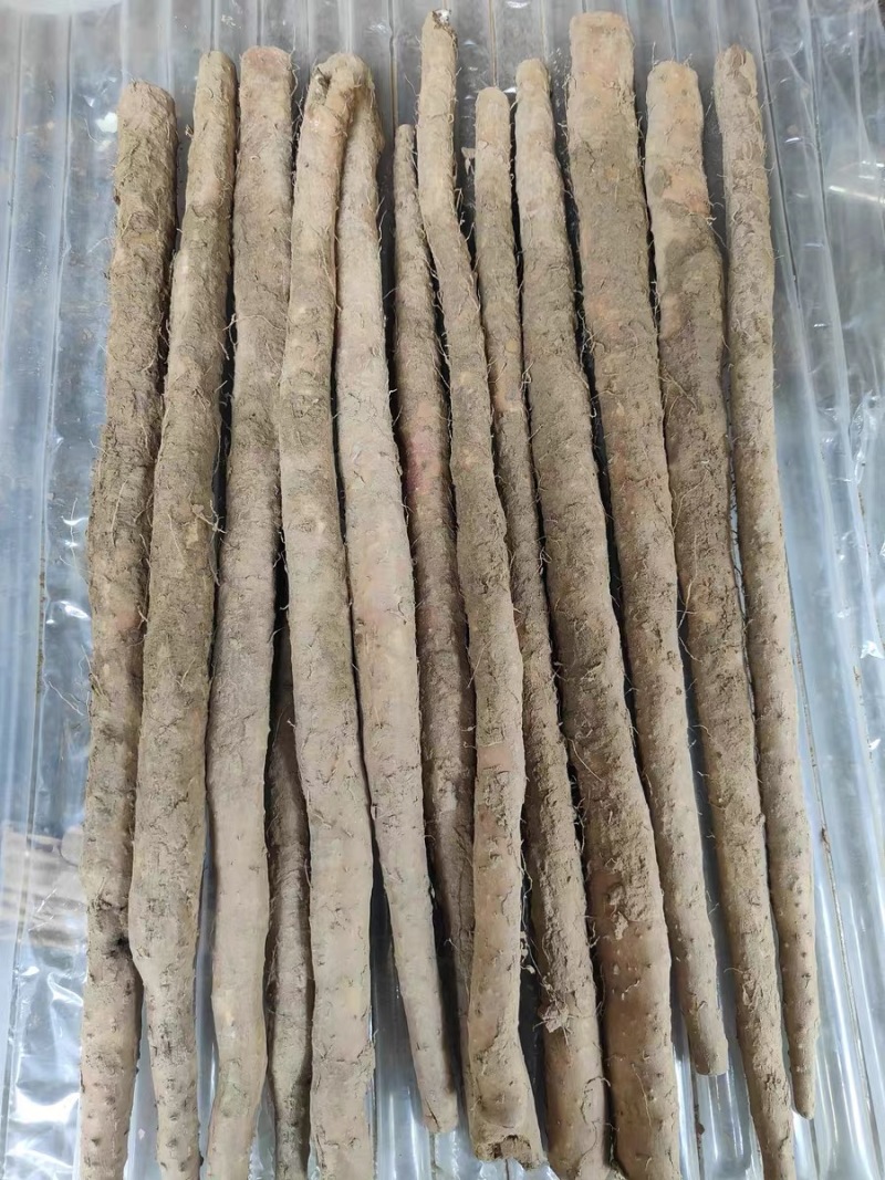河北原产地小白嘴山药网袋山药现挖新鲜山药口感甜