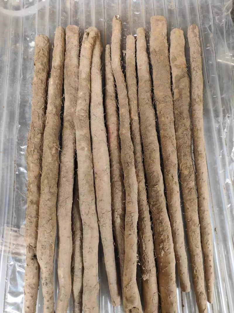 河北原产地小白嘴山药网袋山药现挖新鲜山药口感甜