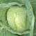 湖北恩施高山蔬菜