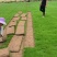 马尼拉草坪