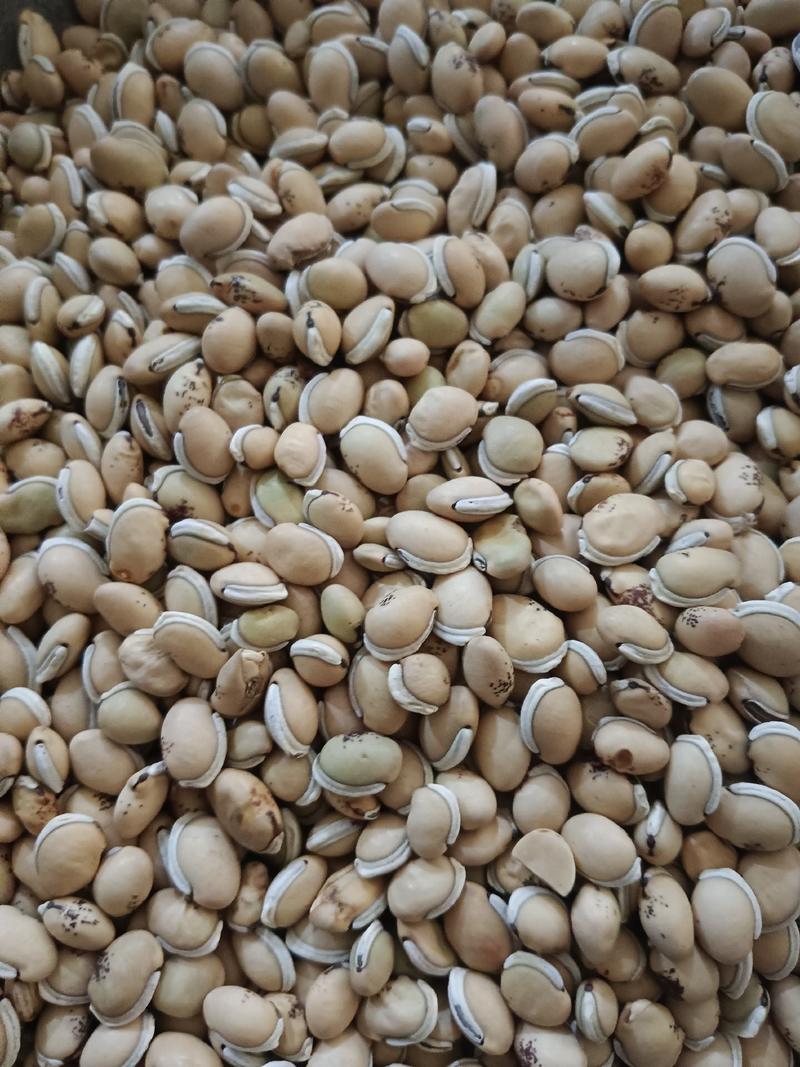 扁豆，白扁豆，规格齐全，产地直销实拍现货24小时内发货