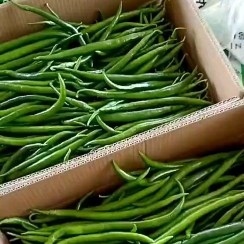 线椒