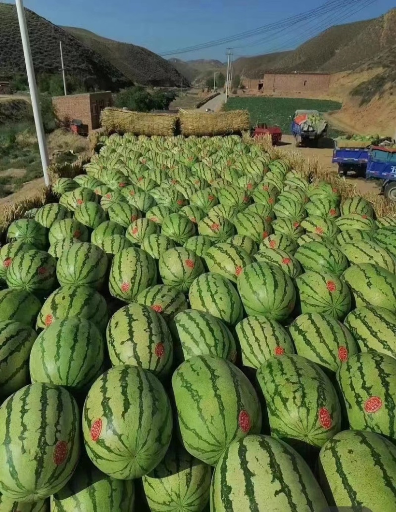 宁夏西瓜石头瓜硒砂瓜产地批发头茬瓜品质优全国发货