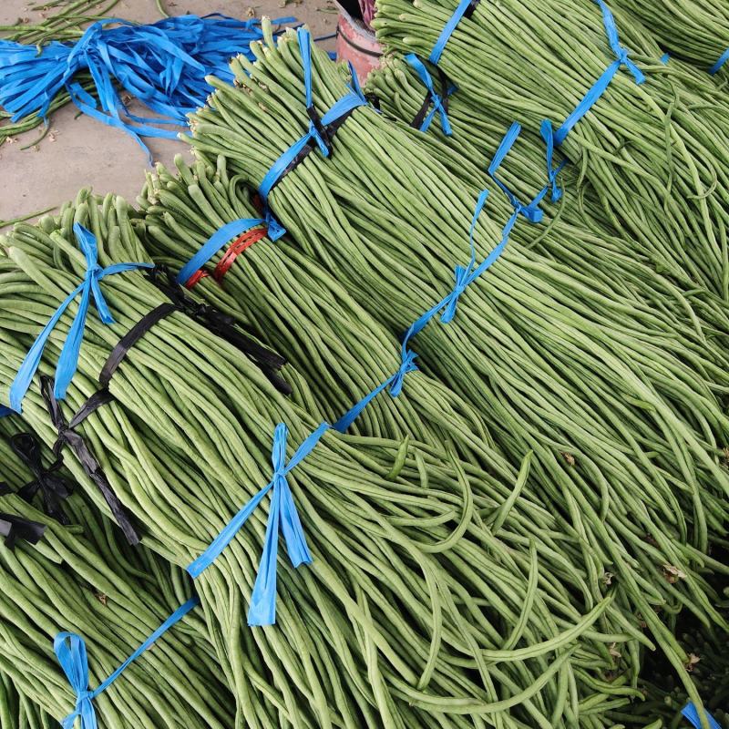 绿条长豆角大量上市，欢迎新老客户合作，、城信笫一，