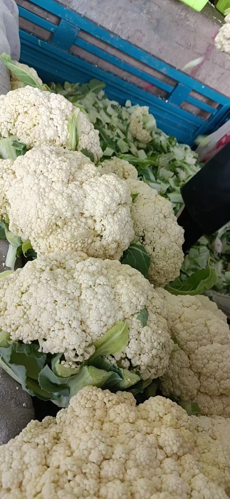 精品散花，产地直销价格便宜