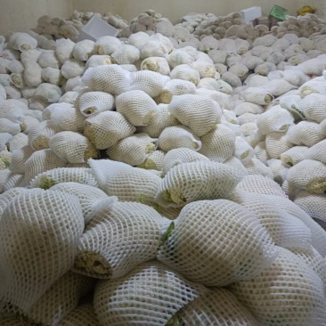 精品散花，产地直销价格便宜