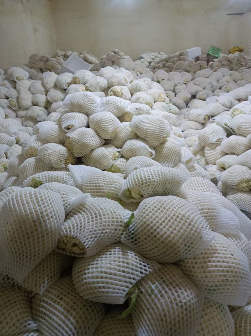 精品散花，产地直销价格便宜