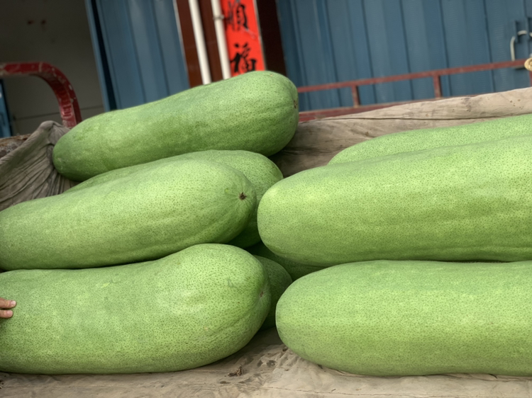 展示冬瓜块被整齐码放在玻璃罐中,并倒入腌汁的过程 冬瓜装入玻璃罐腌制过程