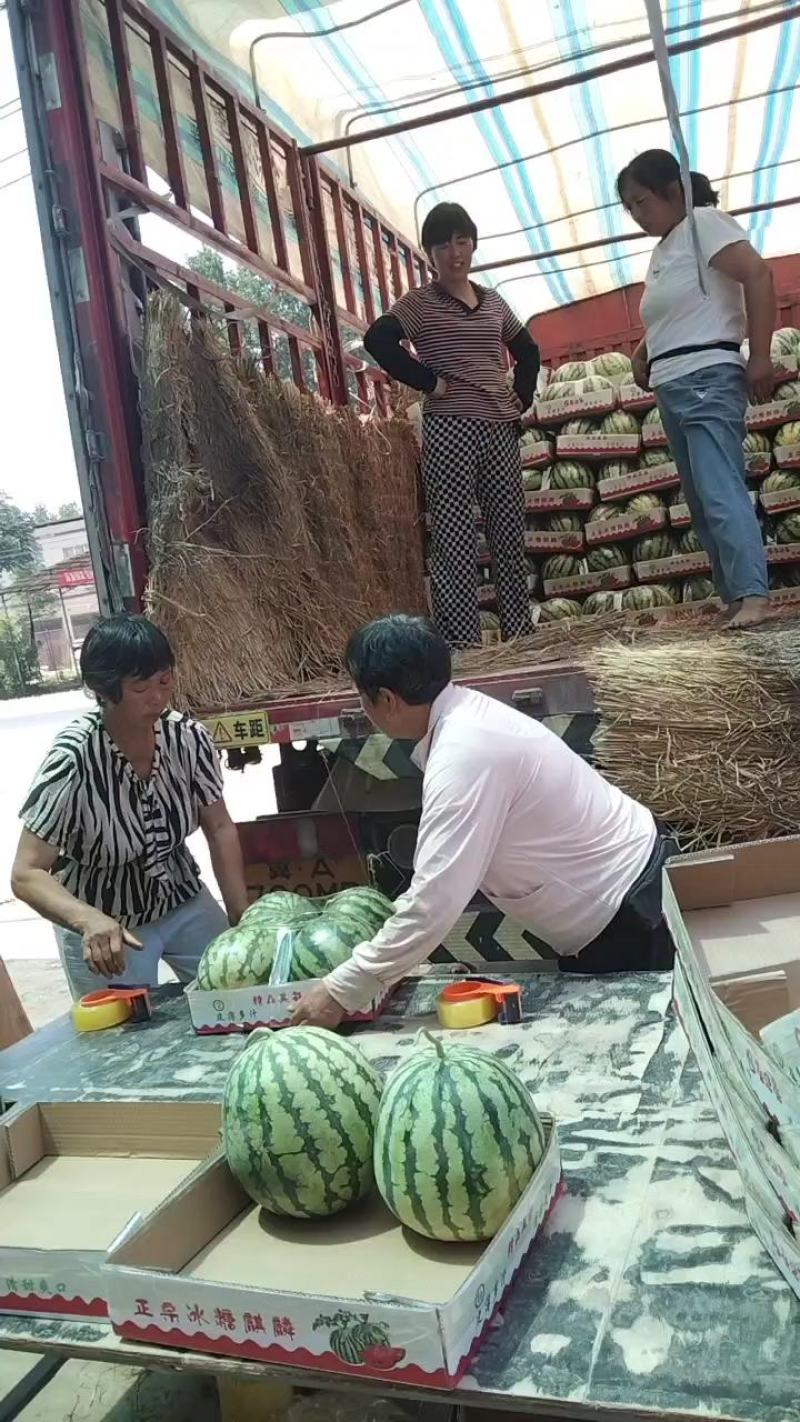 【实力】开封精品美都西瓜基地直发质量保证新鲜采摘