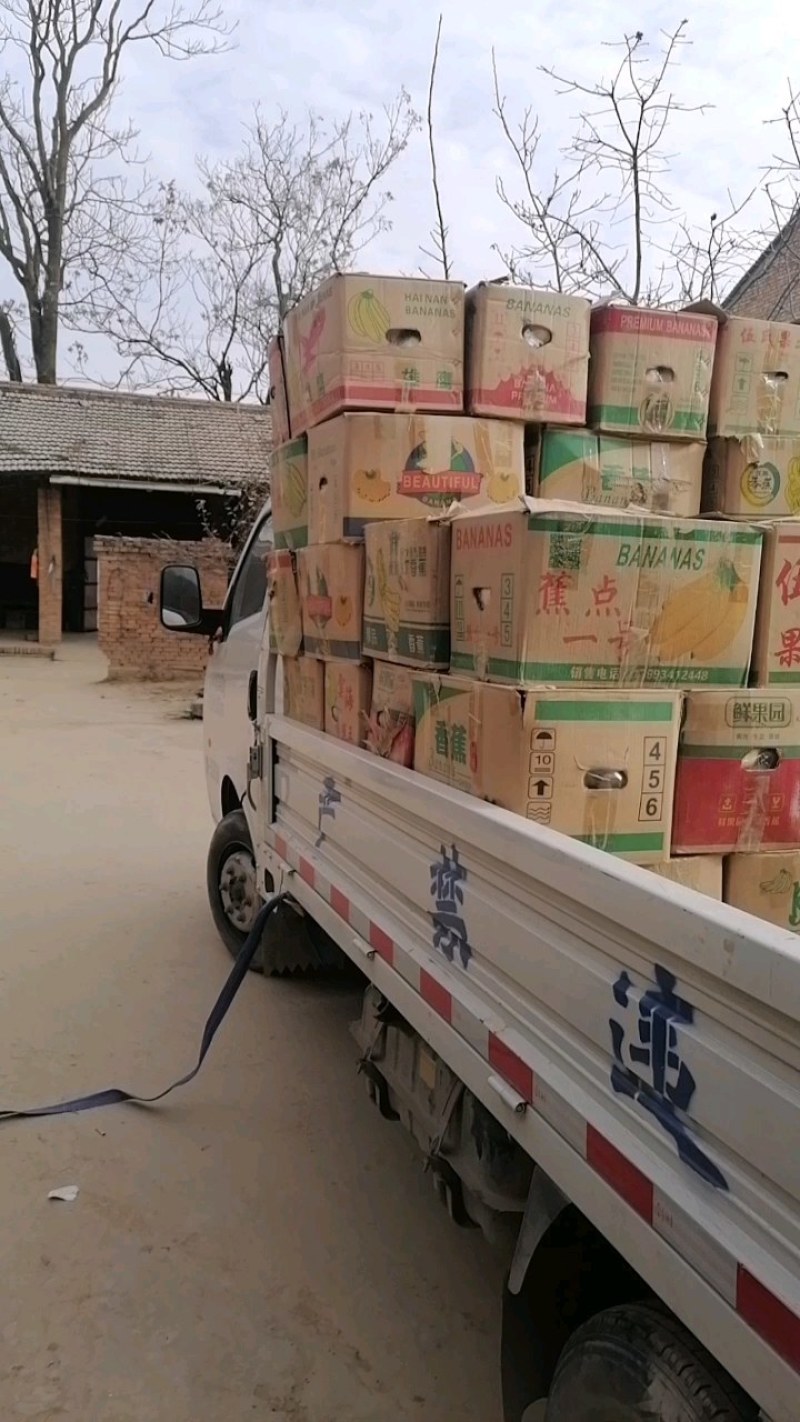 【实力商家】乾县雪花梨糖度高水分足，对接罐头厂果脯厂等