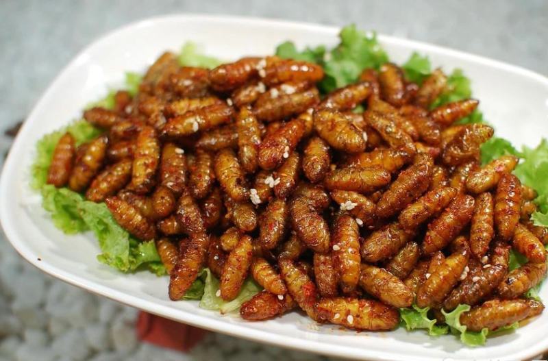 蚕蛹，金丝蛹，小蛹