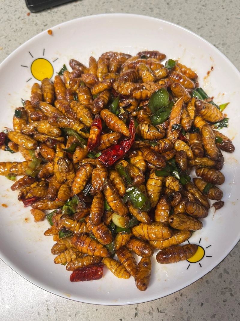 蚕蛹，金丝蛹，小蛹