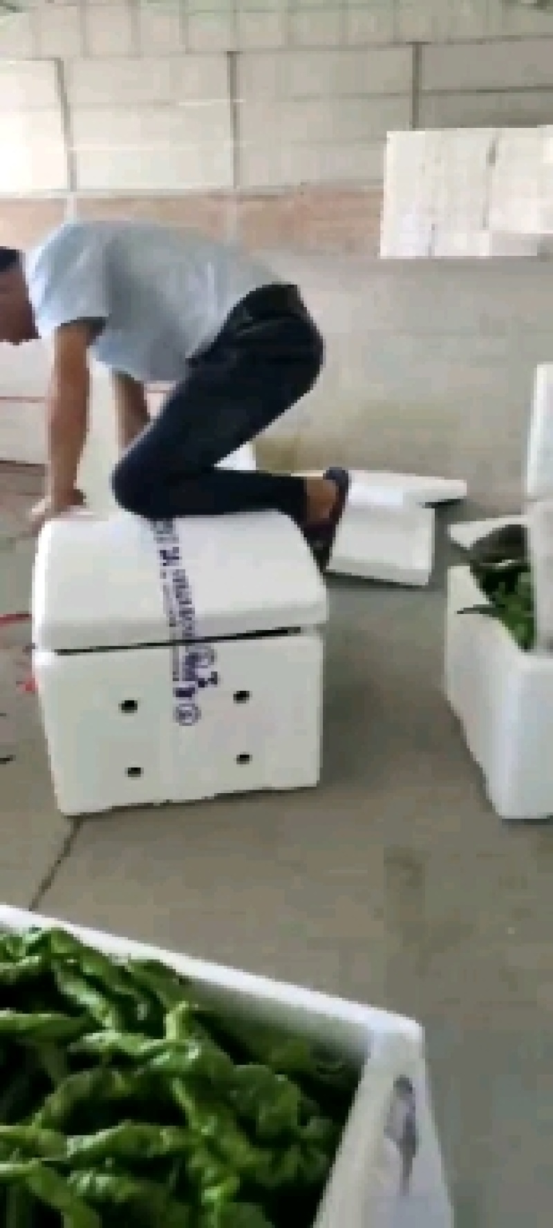 陕西辣椒大量上市了，产地直销，品种多，货源充足