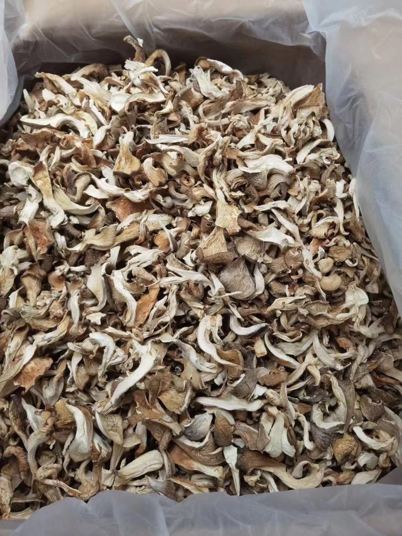 平菇干货产地直销批发牡丹条鲍鱼菇古田食用菌凤尾菇灰平菇