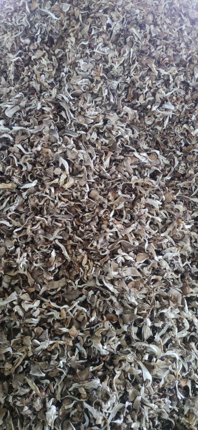 平菇干货产地直销批发牡丹条鲍鱼菇古田食用菌凤尾菇灰平菇
