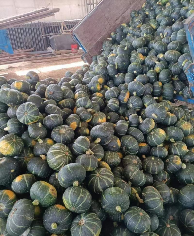 铁球南瓜，银，红，绿三色