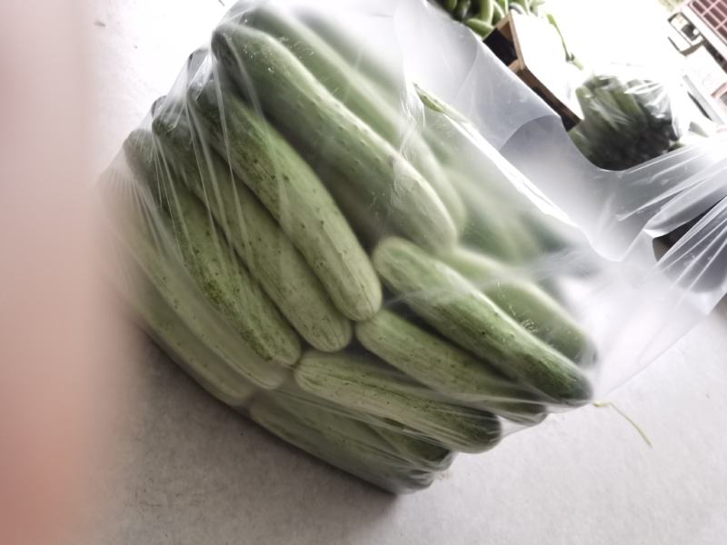 《推荐》优质旱黄瓜，产地直供，对接各大商超档口电商平台