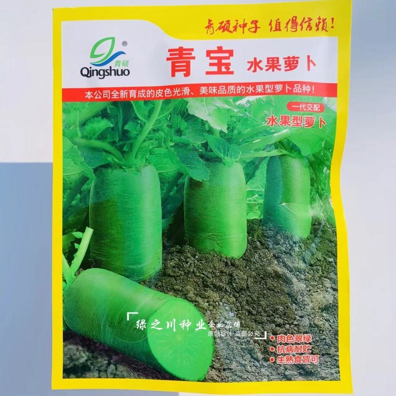 青宝水果萝卜种子脆甜多汁肉色翠绿品质好，水果型萝卜种子