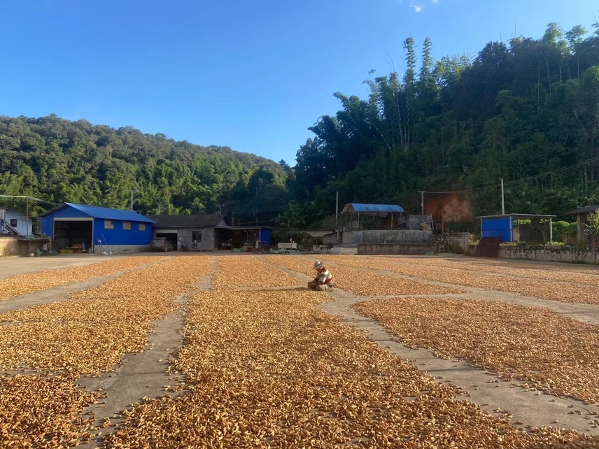 黑玛卡的原产地