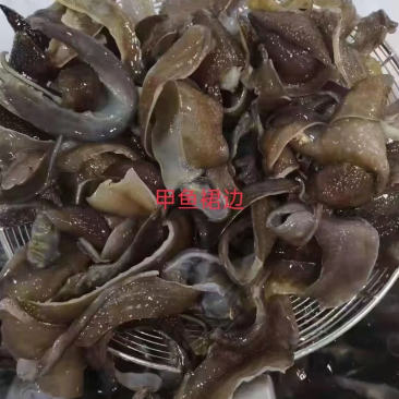 甲鱼裙边水发产品
