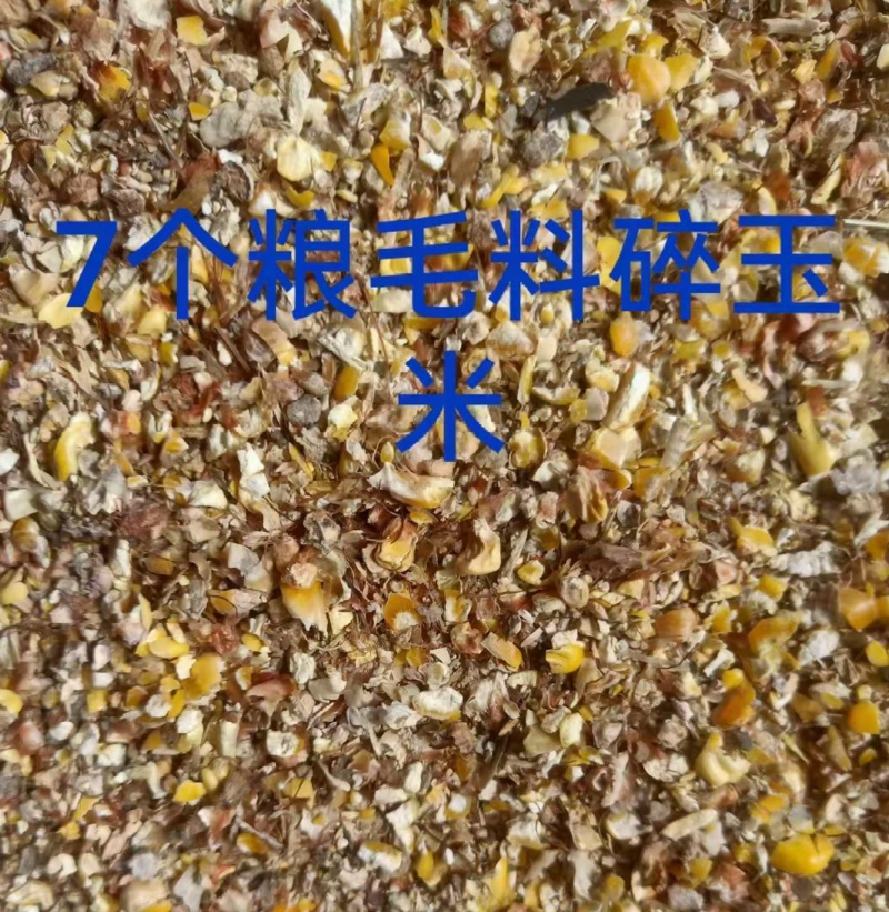毛粮碎玉米各种规格鸡鸭鹅牛羊养殖常年供应