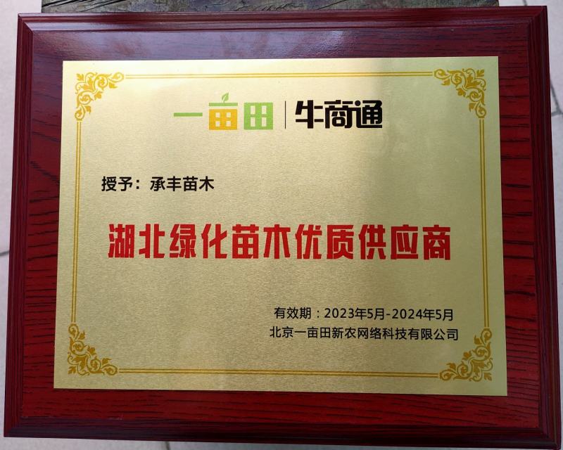 8-11的精品金丝楠木杆直冠圆全年供应，支持线上保障交易