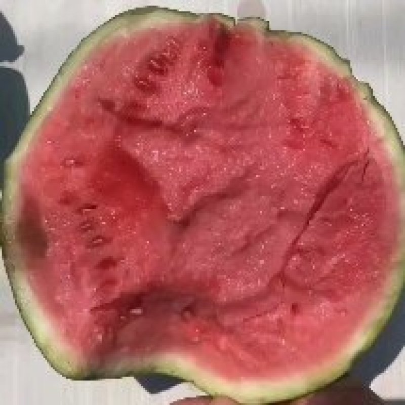 【美都】美都西瓜口感甜汁水多包甜包鲜全国供应