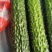 【推荐】大荔县优质密刺黄瓜隆重上市，产地供应支持视频看货