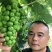 阳光玫瑰，香味浓郁脆甜爽口，产地直达，精品阳光玫瑰产地货