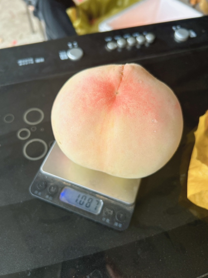 白凤水蜜桃