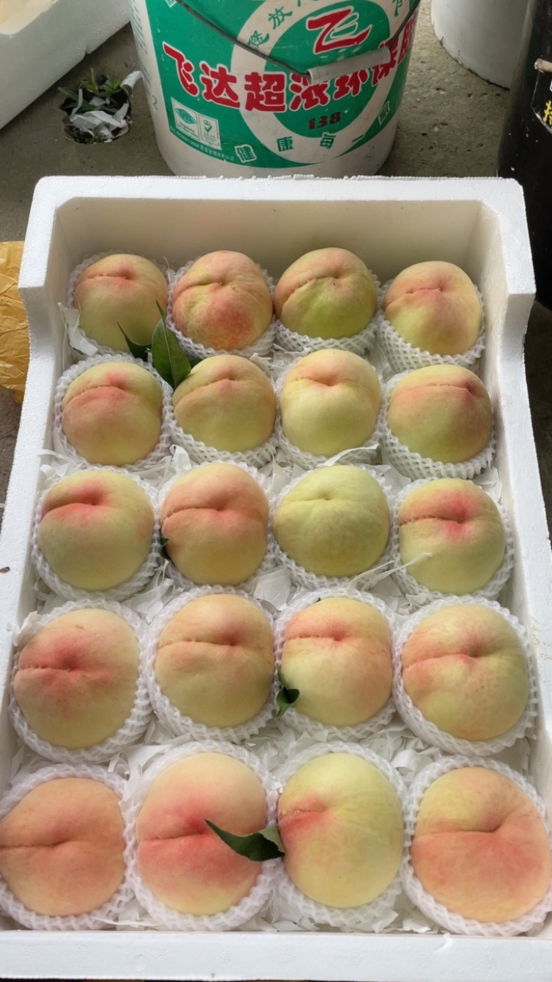 白凤水蜜桃