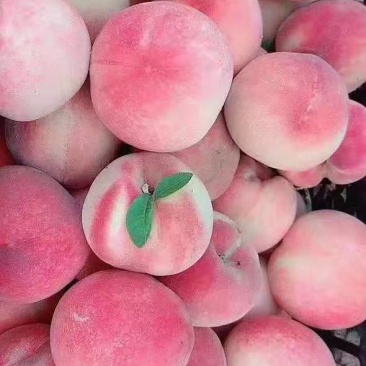 临潼水蜜桃
