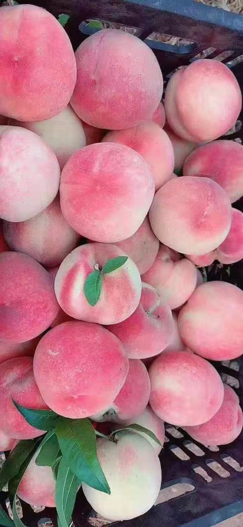 临潼水蜜桃